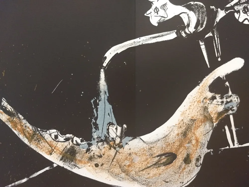 Illustriertes Buch Rebeyrolle - Edition Tete DLM 219