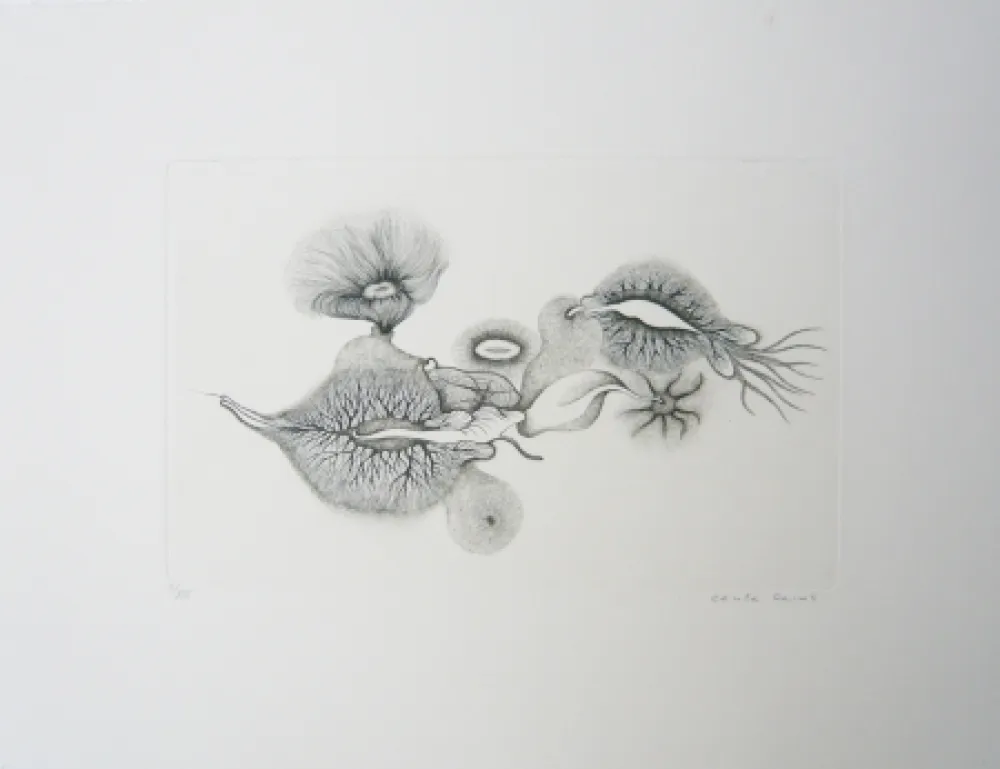 Stich Reims - Sans titre