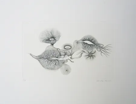 Stich Reims - Sans titre