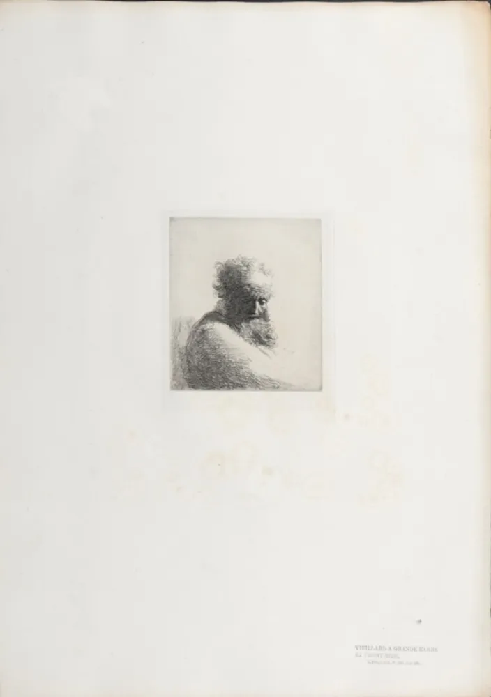 Heliogravüre Rembrandt - Veillard à grande barbe et front ridé