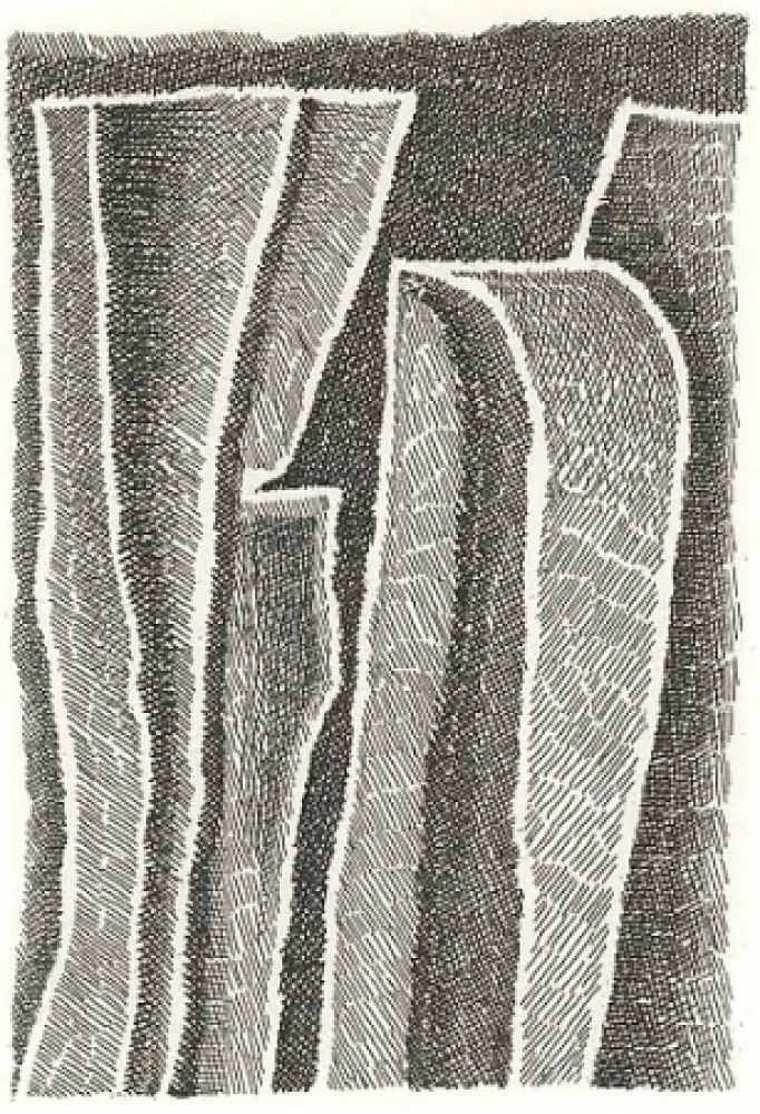 Illustriertes Buch Ricci - I Sassi di Matera