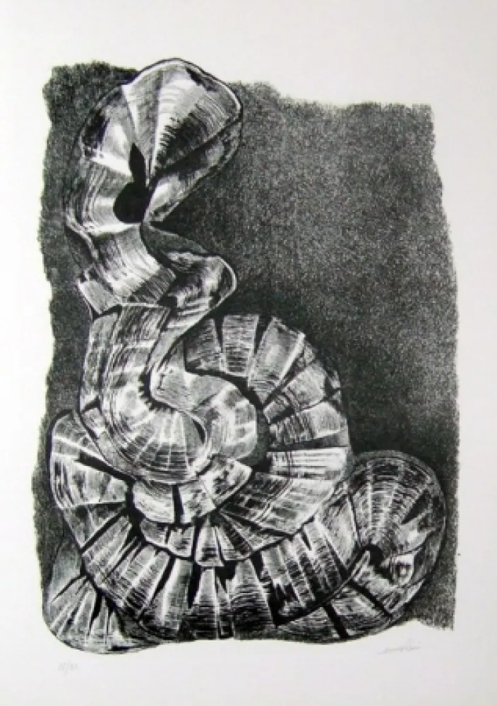 Illustriertes Buch Ricci - Lettera a un amico (e, indirettamente, a tutti gli altri)