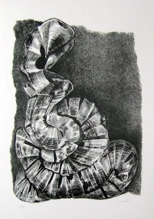 Illustriertes Buch Ricci - Lettera a un amico (e, indirettamente, a tutti gli altri)