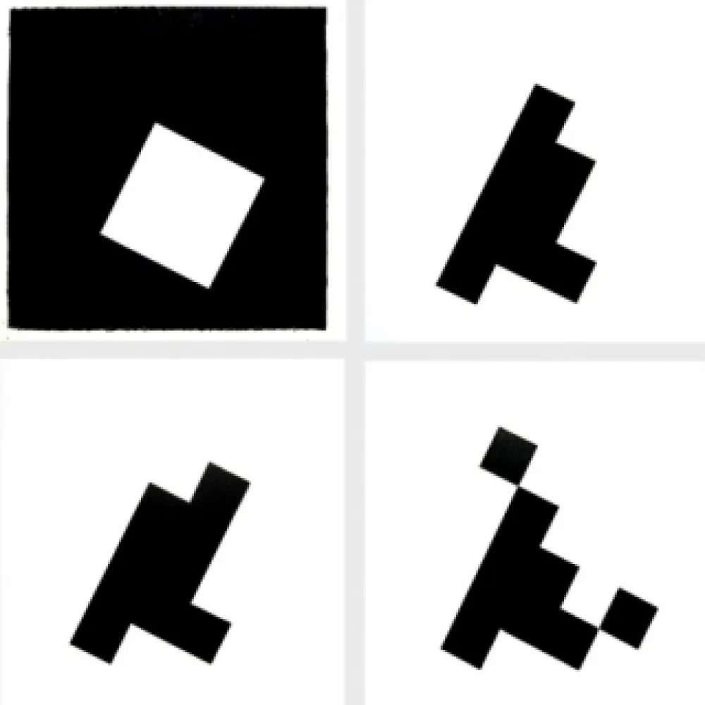 Illustriertes Buch Ridell - Mesure du signe