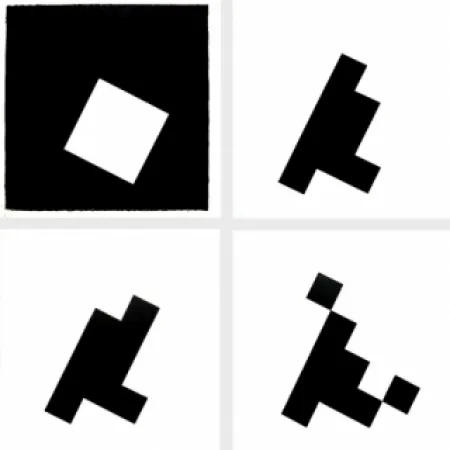 Illustriertes Buch Ridell - Mesure du signe