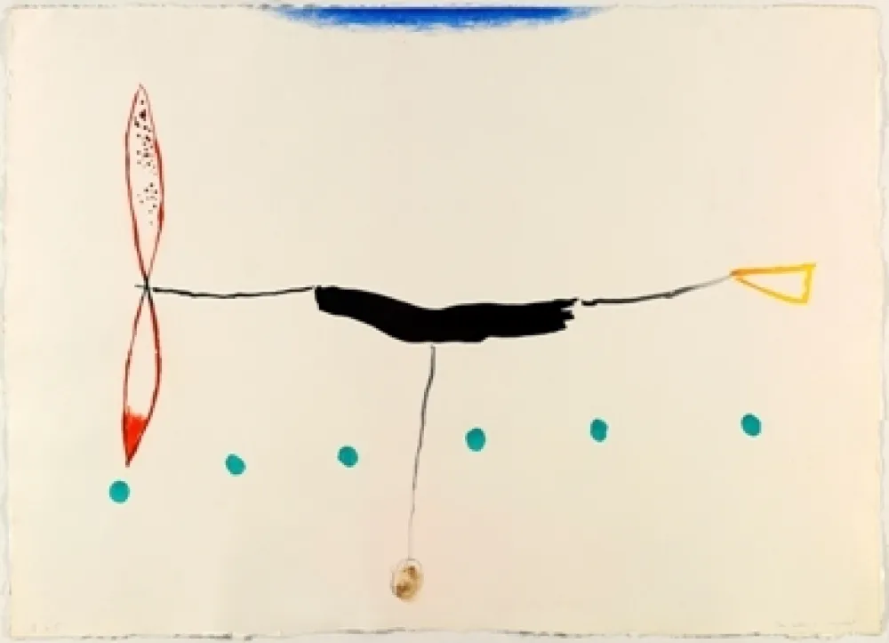 Radierung Riera I Aragó - Avió alargado cola amarilla