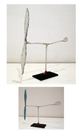 Keine Technische Riera I Aragó - Avió blanc amb cua