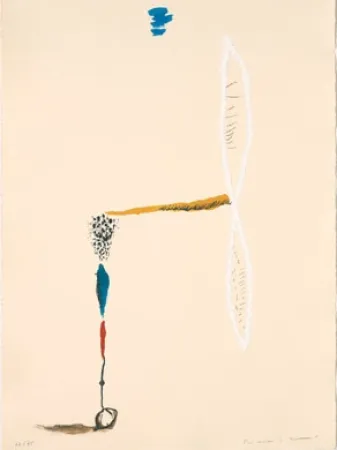 Lithographie Riera I Aragó - Avió hèlix blanc 