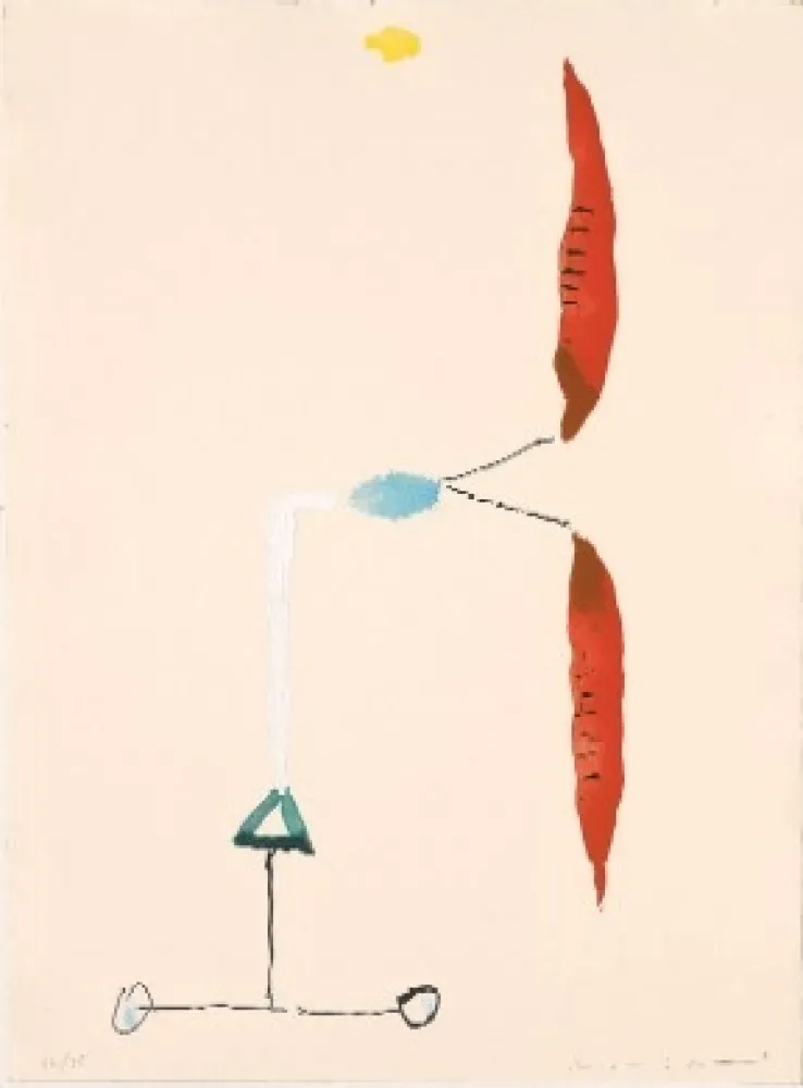 Radierung Riera I Aragó - Avió hèlix vermella 