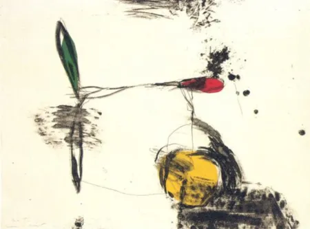 Stich Riera I Aragó - Avió roda groga