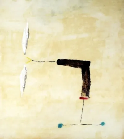 Stich Riera I Aragó - Avió rodes blaves