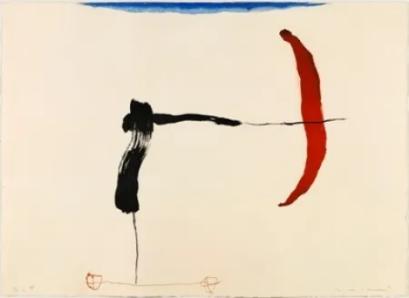 Stich Riera I Aragó - Avión negro y rojo en ángulo 