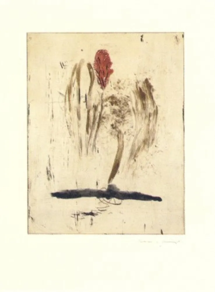 Stich Riera I Aragó - Submarí i ala