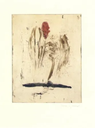 Stich Riera I Aragó - Submarí i ala