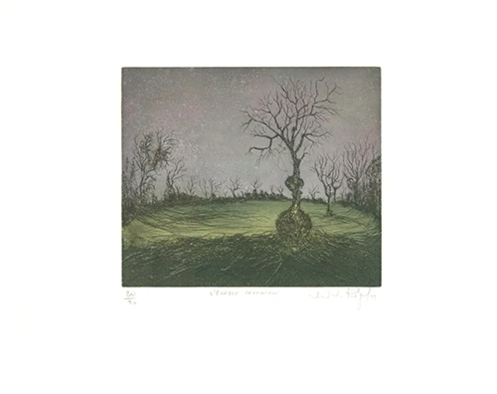 Radierung Und Aquatinta Rigal J.j.j. - L'Erable canadien