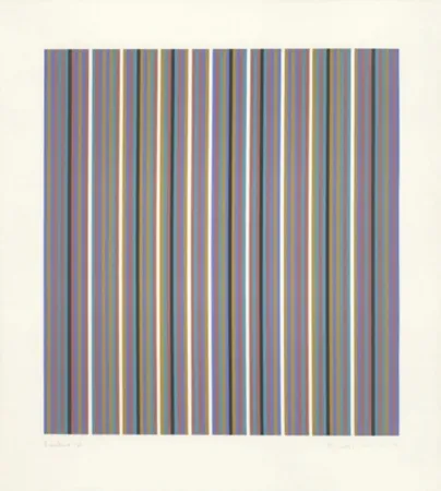 Siebdruck Riley - Brouillard