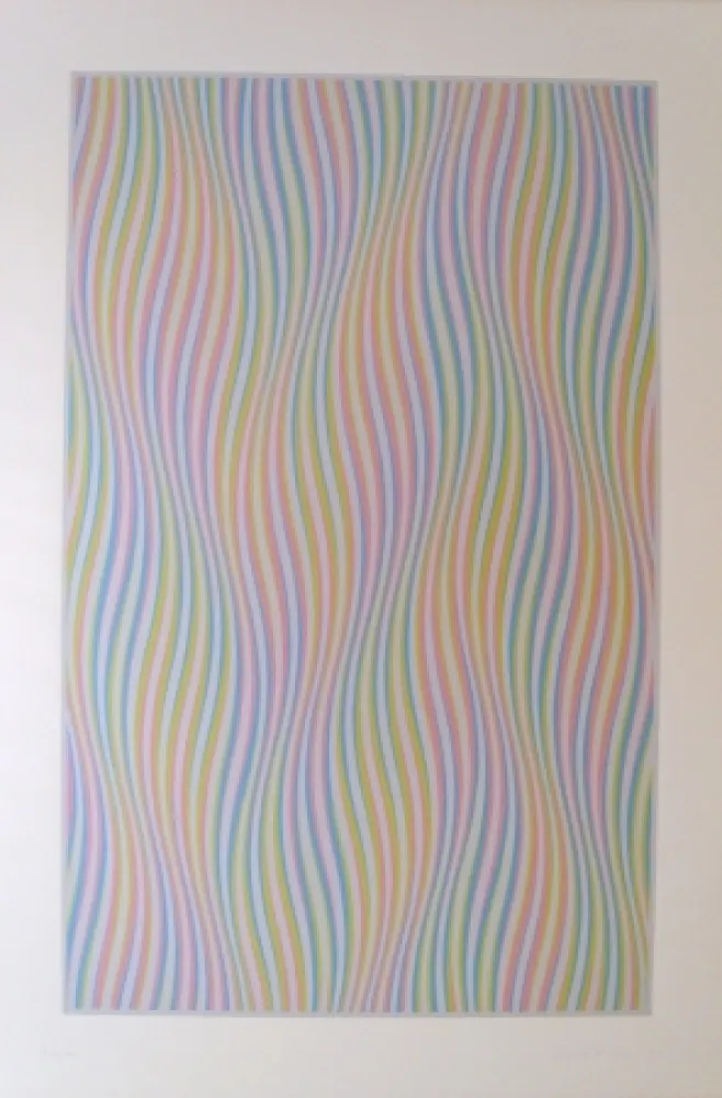 Siebdruck Riley - Elapse