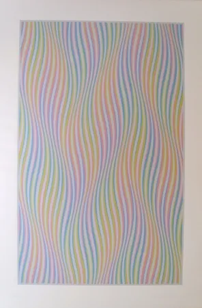 Siebdruck Riley - Elapse