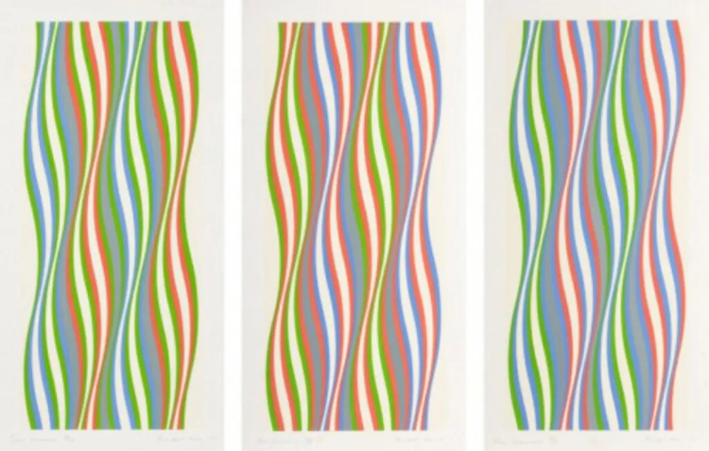Siebdruck Riley - Green Dominance, Blue Dominance, Red Dominance (set of 3)