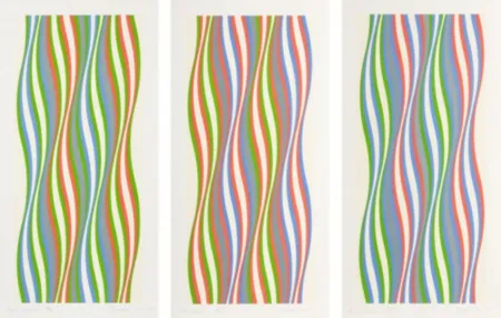 Siebdruck Riley - Green Dominance, Blue Dominance, Red Dominance (set of 3)