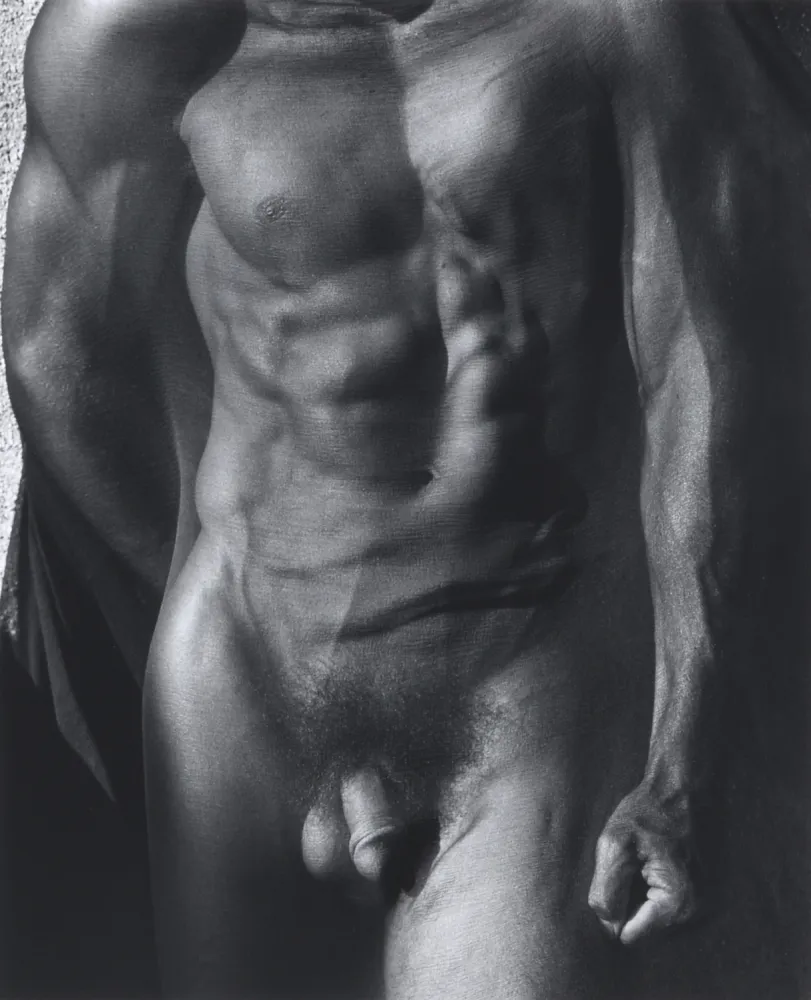 Fotografie Ritts - Male Torso with Veil (Tight), Silverlake