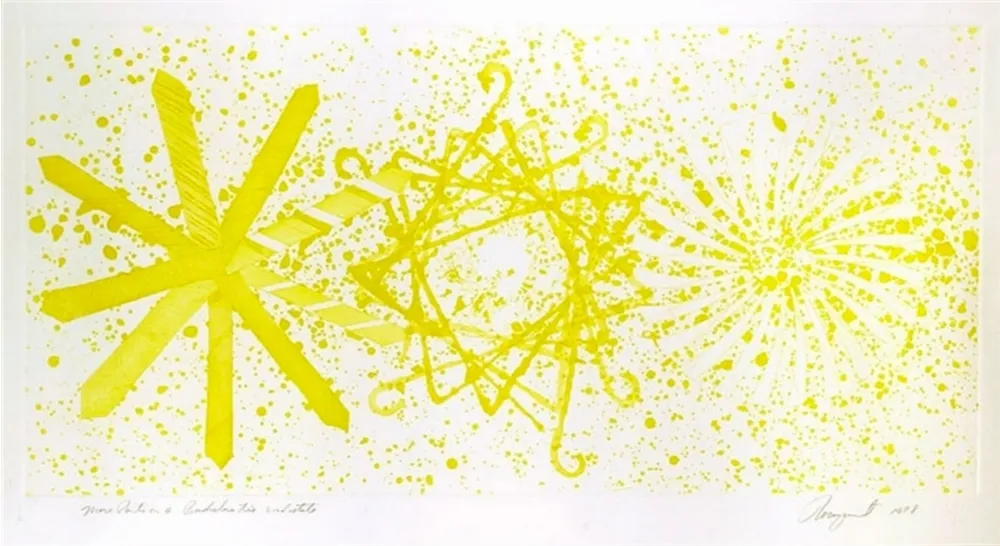 Aquatinta Rosenquist - More Points on a Bachelor's Tie - 2 state