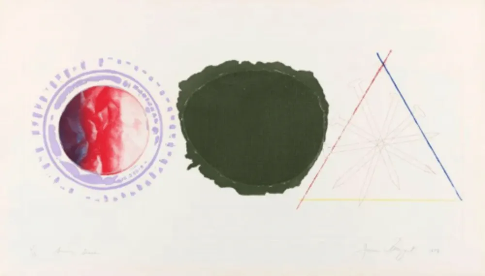 Radierung Und Aquatinta Rosenquist - Swing Screen