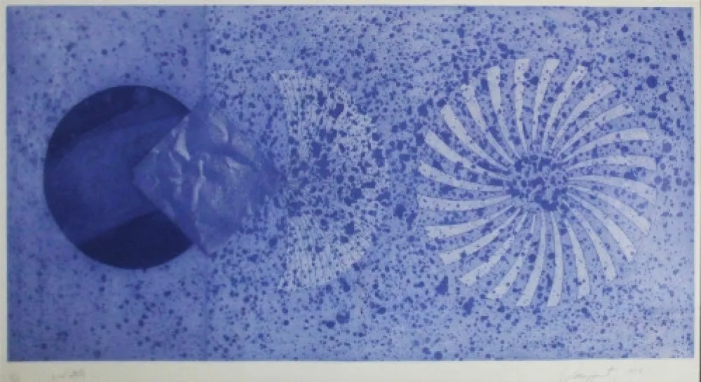 Radierung Und Aquatinta Rosenquist - The Book Disappears for the Fast Student 2nd State