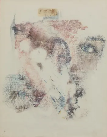 Keine Technische Rotella - SENZA TITOLO