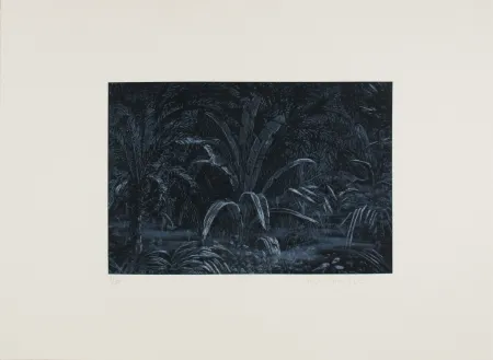 Radierung Roy-Camille - Le remplissage des blancs sur la carte