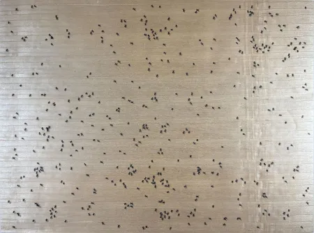 Siebdruck Ruscha - Black Ants from the Insects Portfolio