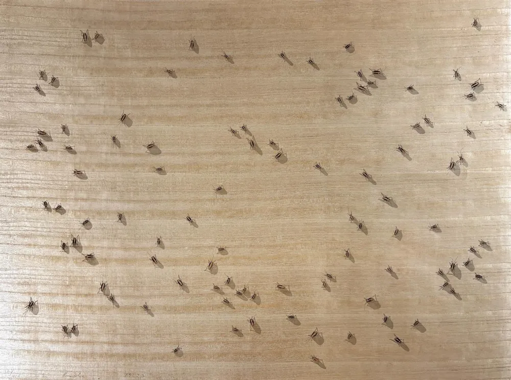 Siebdruck Ruscha - Cockroaches from the Insects Portfolio