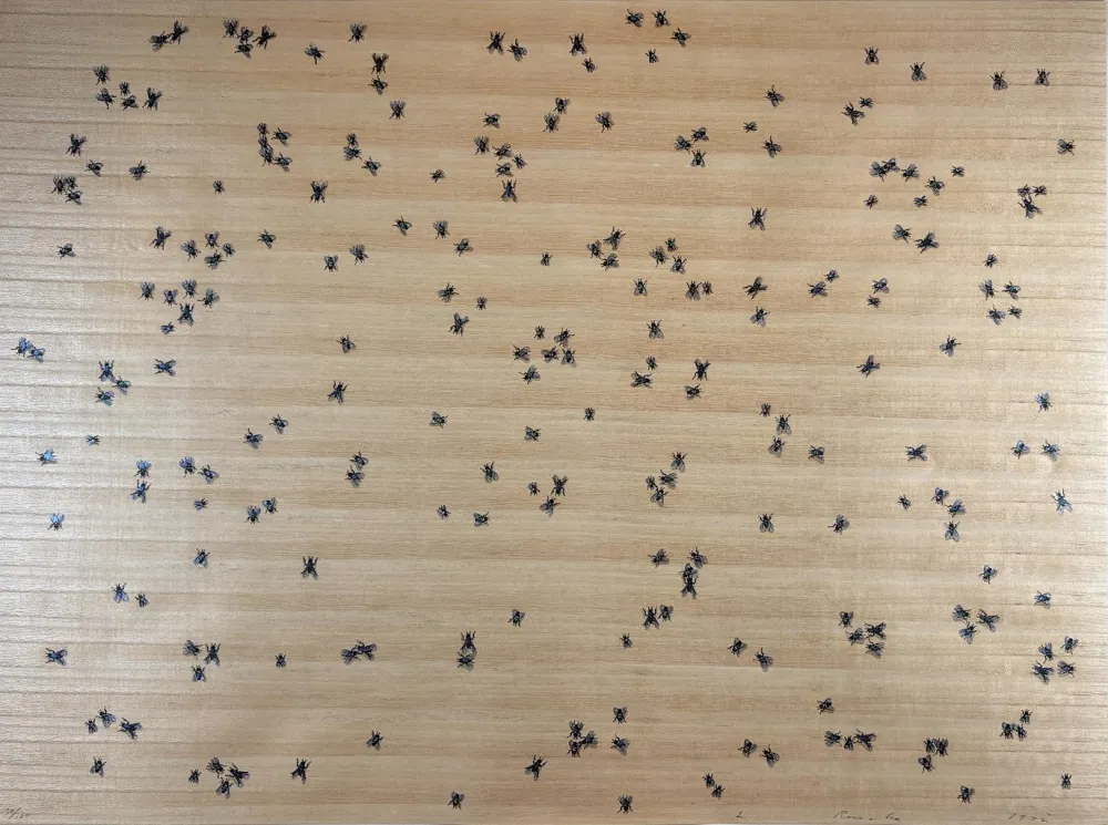 Siebdruck Ruscha - Flies from the Insects Portfolio