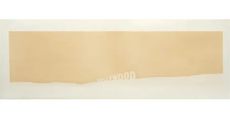 Siebdruck Ruscha - Hollywood Fruit-Metrecal