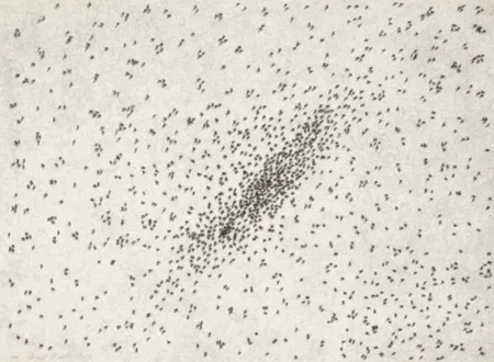 Multiple Ruscha - Insect Slant (Ants) (from Reality & Paradoxes)