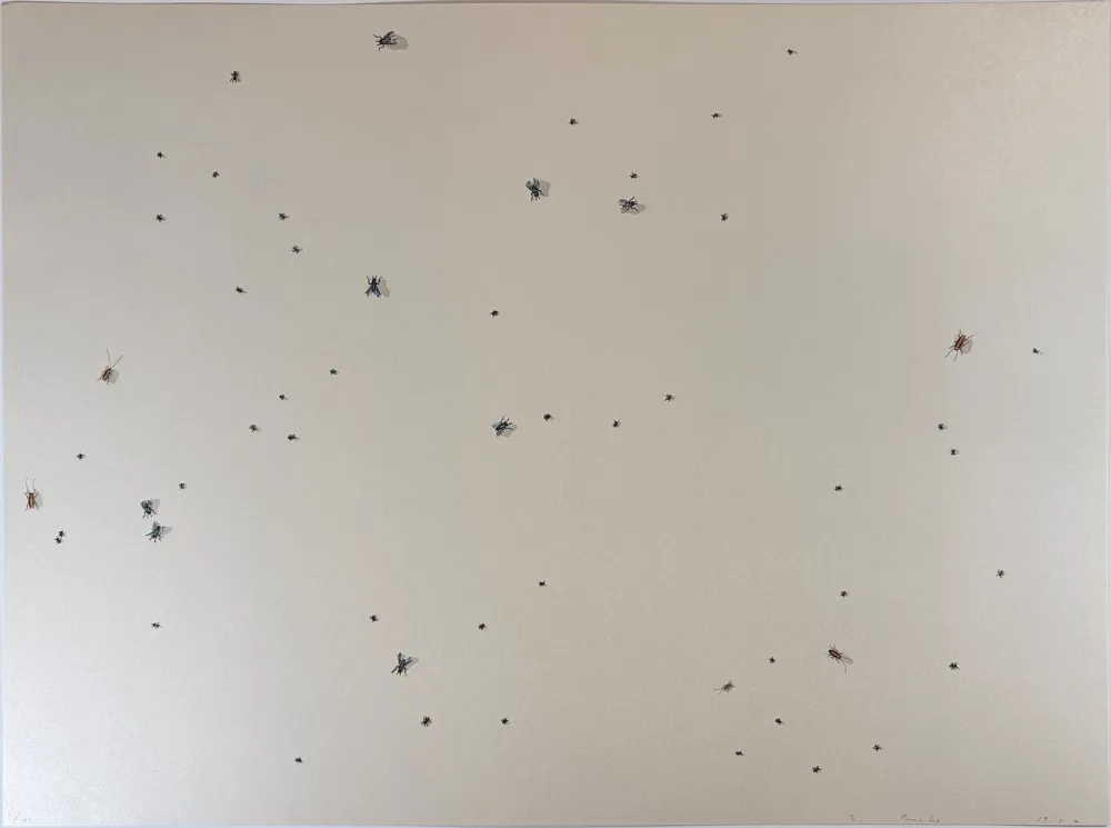 Siebdruck Ruscha - Pearl Dust Combination from the Insects Portfolio
