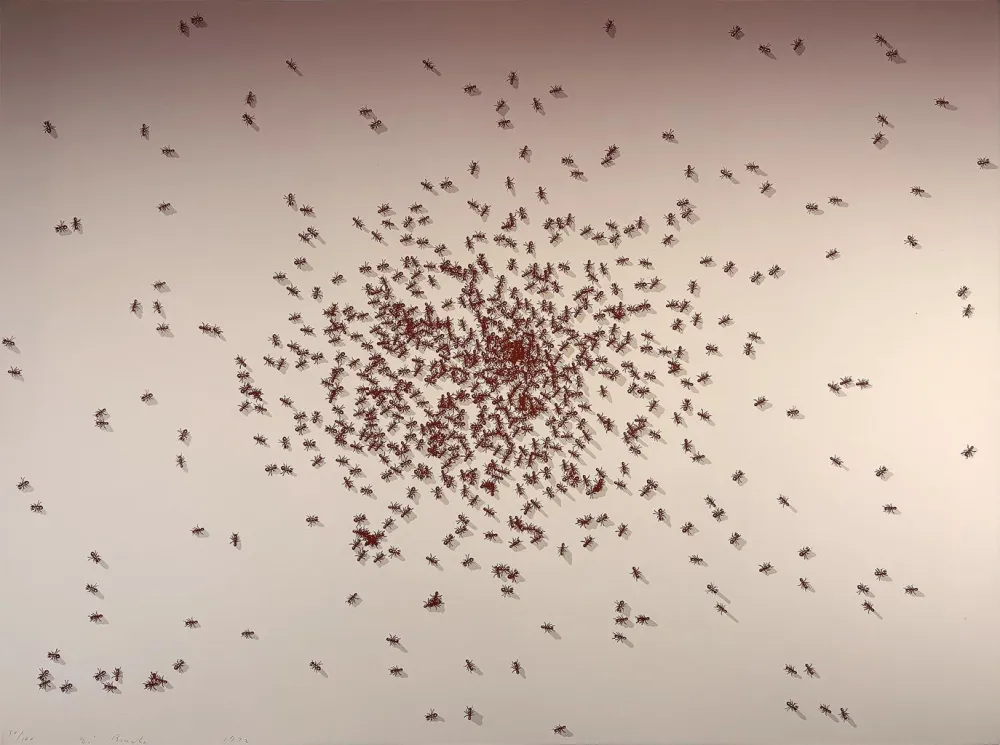 Siebdruck Ruscha - Swarm of Red Ants from the Insects Portfolio