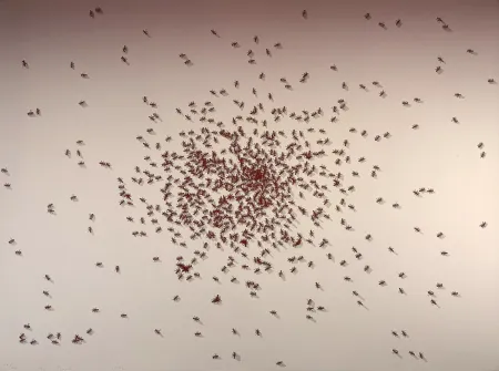 Siebdruck Ruscha - Swarm of Red Ants from the Insects Portfolio