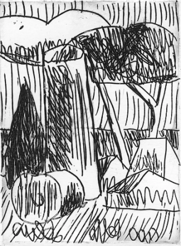 Illustriertes Buch Salvo - Nascere due volte