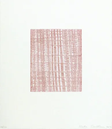 Stich Santibañez - El alma de los árboles