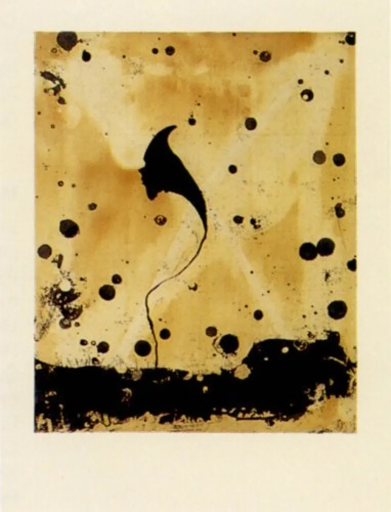 Stich Santibañez - Flor