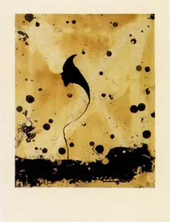 Stich Santibañez - Flor