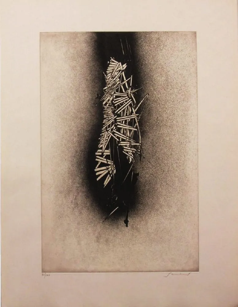 Stich Scanavino - SENZA TITOLO