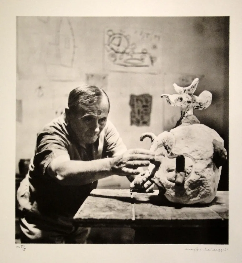 Fotografie Scheidegger - Joan Miro