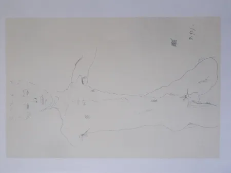 Lithographie Schiele - Standing male nude