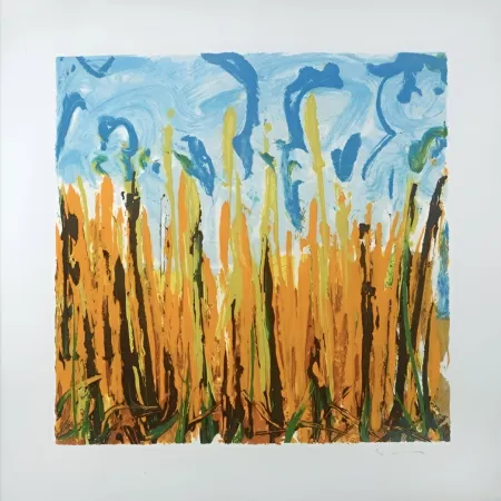 Siebdruck Schifano - Mario Schifano (1934–1998) – Campo Basso – Enamel screen printing, 29-colour printing on Magnani di Pescia paper – 1988