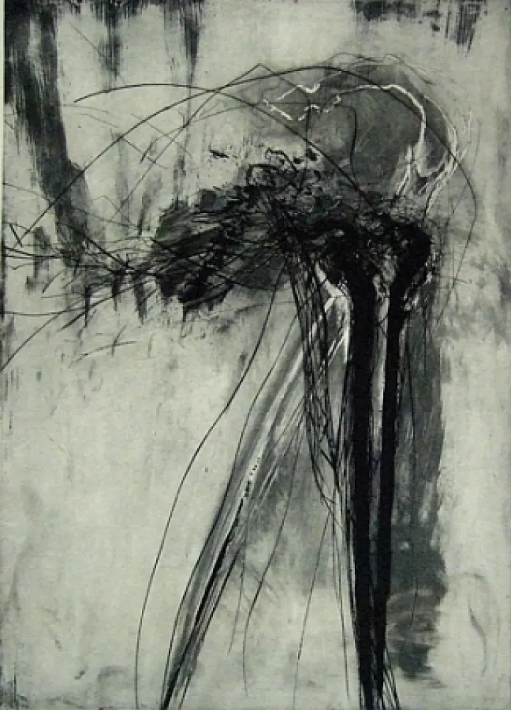 Kaltnadelradierung Schober - Richiamo