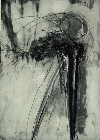 Kaltnadelradierung Schober - Richiamo