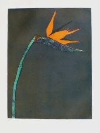 Stich Scholder - Flower at Barcelona