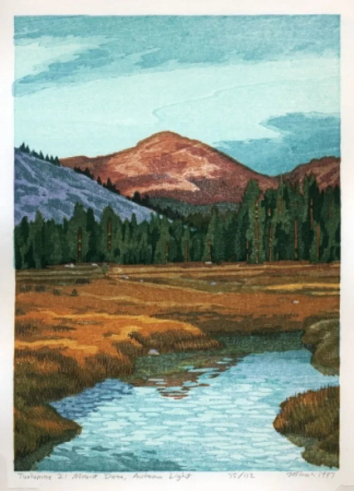 Holzschnitt Schwaberow - Tuolumne 2: Mount Dana, Autumn Light